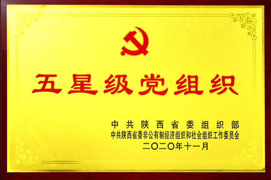 五星级党组织