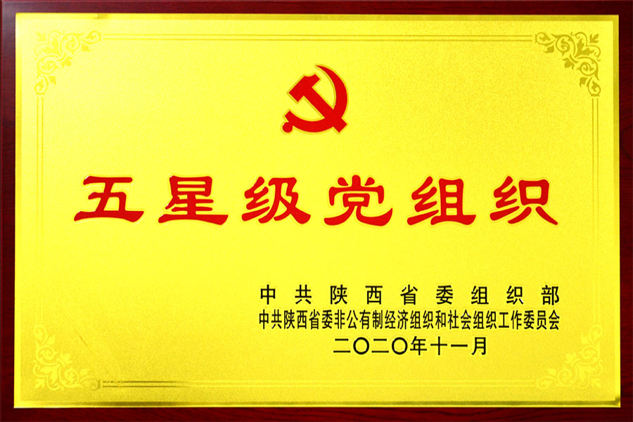 五星级党组织