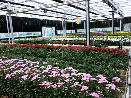 金年会金字招牌至上网站