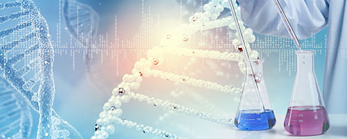 金年会金字招牌至上网站